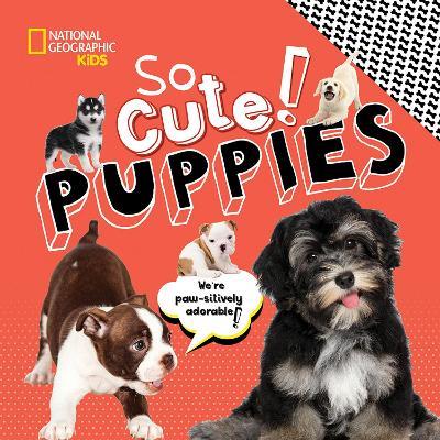So Cute! Puppies - National Geographic Kids - cover