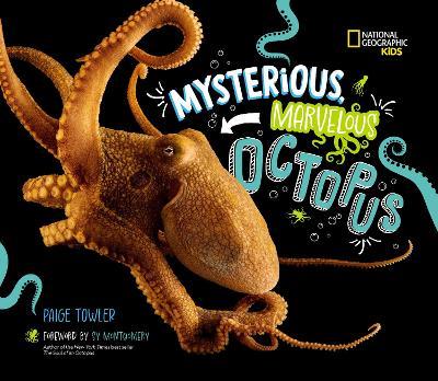 Mysterious, Marvelous Octopus! - Paige Towler - cover