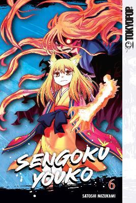 Sengoku Youko, Volume 6 - Satoshi Mizukami - cover