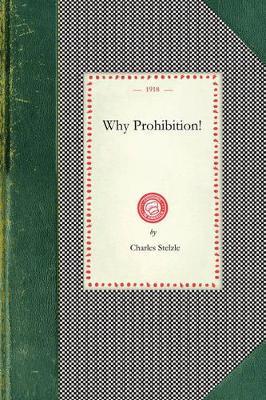 Why Prohibition! - Charles Stelzle - cover