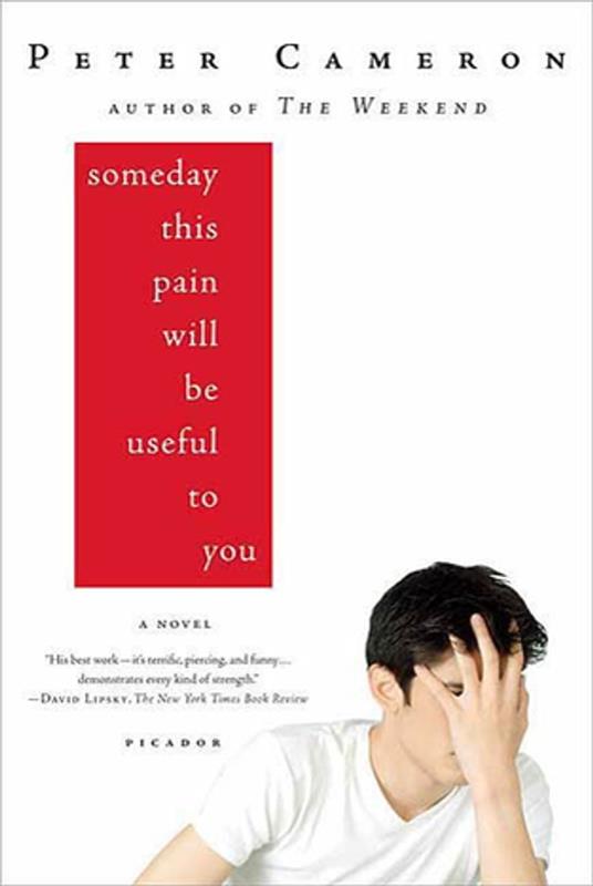 Someday This Pain Will Be Useful to You - Peter Cameron - ebook