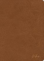 KJV Spurgeon Study Bible, Tan Leathertouch