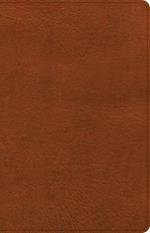 NASB Large Print Thinline Bible, Burnt Sienna Leathertouch