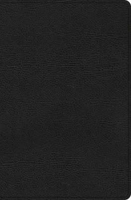 CSB Everyday Study Bible, Black Genuine Leather - cover