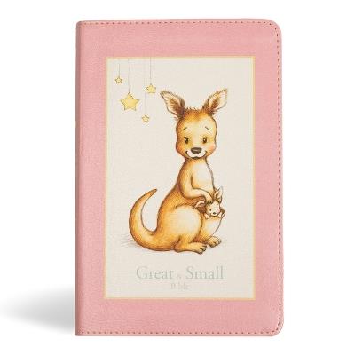 KJV Great and Small Bible, Pink Leathertouch - cover