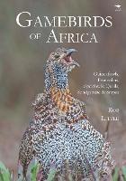 Gamebirds of Africa: Guineafowls, Francolins, Spurfowls, Quails, Sandgrouse & Snipes - Rob Little - cover