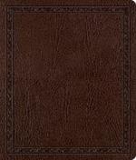 ESV Journaling Bible