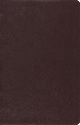 ESV Large Print Thinline Reference Bible - cover