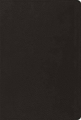 The Psalms, ESV (Top Grain Leather, Black) - cover