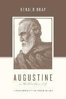 Augustine on the Christian Life: Transformed by the Power of God