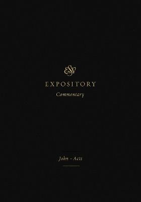 ESV Expository Commentary: John–Acts (Volume 9) - cover