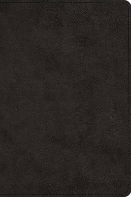 ESV Large Print Bible - cover