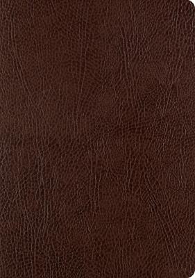 ESV Single Column Journaling Bible, Large Print - cover