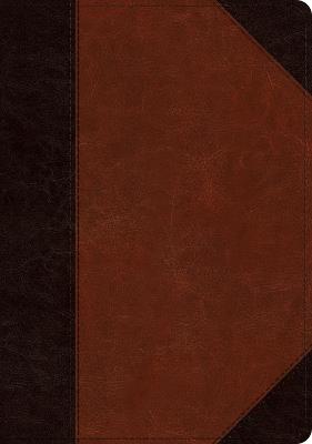 ESV Large Print Wide Margin Bible - cover