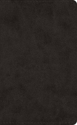 ESV Pocket Bible - cover