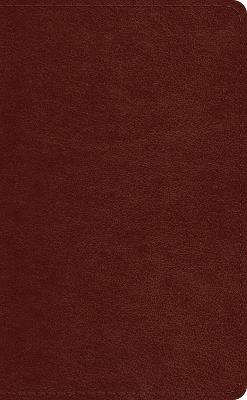 ESV Pocket Bible - cover