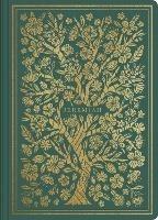 ESV Illuminated Scripture Journal: Jeremiah (Paperback) - cover