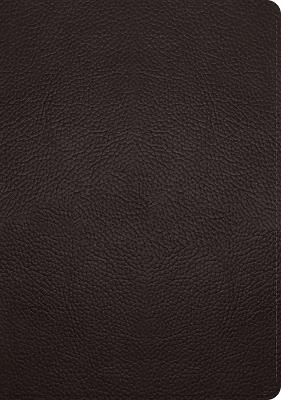 ESV Single Column Journaling Bible, Large Print - cover