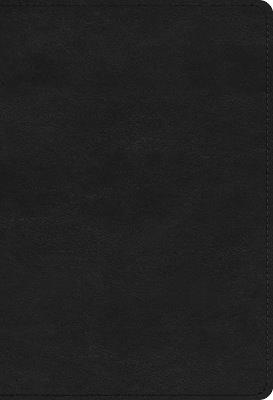 ESV Student Study Bible - cover