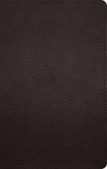 ESV Large Print Personal Size Bible