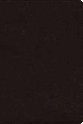 ESV Women's Study Bible - cover