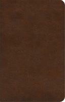 ESV Concise Study Bible (TM) - cover