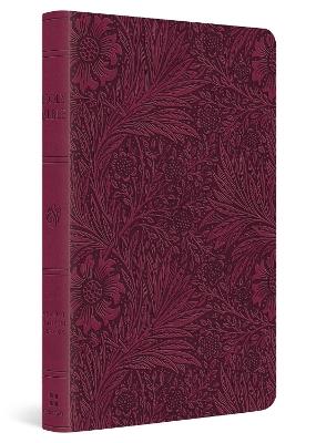 ESV Large Print Value Thinline Bible - cover