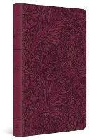 ESV Large Print Value Thinline Bible