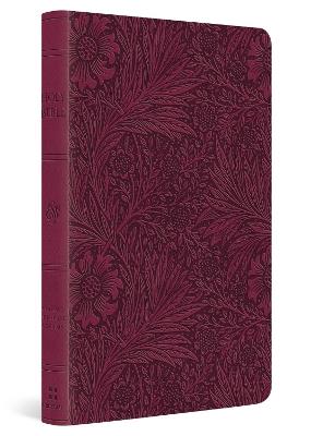 ESV Value Thinline Bible - cover