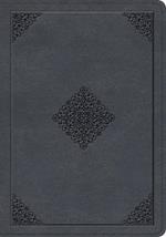 ESV Large Print Wide Margin Bible