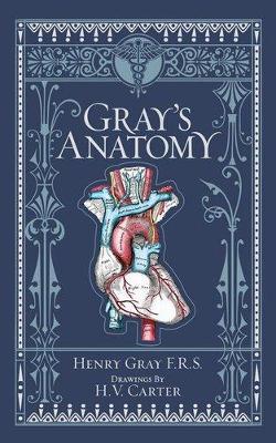 Gray's Anatomy (Barnes & Noble Collectible Editions) - Henry Gray - cover