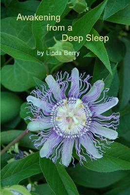 Awakening from A Deep Sleep - Linda Berry - cover
