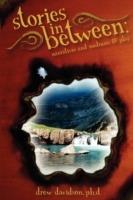Stories in Between: Narratives and Mediums @ Play - stories in between Drew Davidson - cover