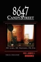 8647 Candy Street - James L Brooks - cover