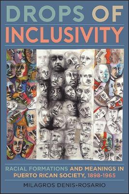 Drops of Inclusivity: Racial Formations and Meanings in Puerto Rican Society, 1898-1965 - Milagros Denis-Rosario - cover
