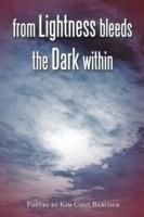 from Lightness Bleeds the Dark within - kim chul Babcock - cover