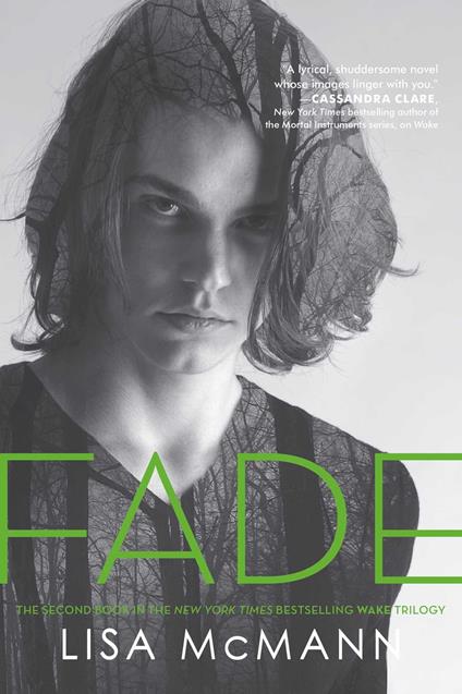 Fade - Lisa McMann - ebook