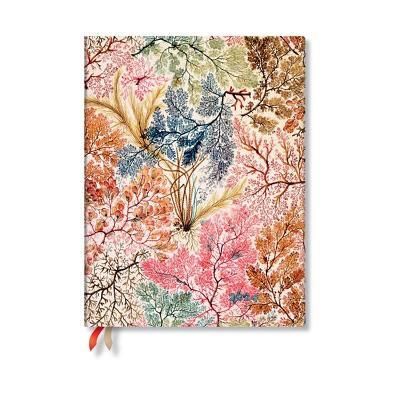 Agenda Paperblanks 2024, Anemone, verticale, 12 Mesi Flexis, Ultra, William Kilburn