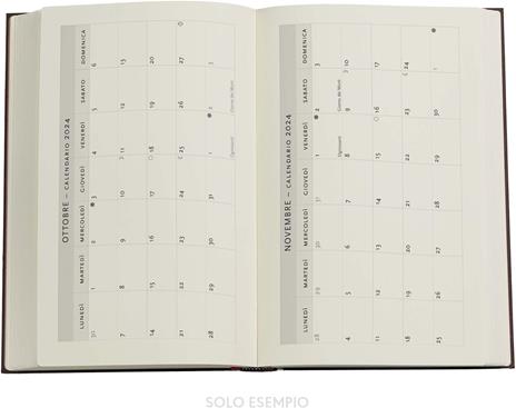 Agenda Paperblanks 2024, 12 mesi, Maxi, VSO, Diamante di Rosette, Oceania - 13,5 x 21 cm - 5