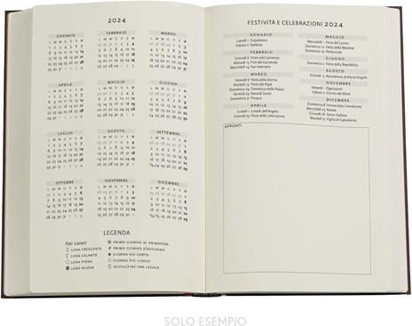 Agenda Paperblanks 2024, 12 mesi, Maxi, VSO, Diamante di Rosette, Oceania - 13,5 x 21 cm - 6