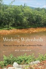 Working Watersheds: Water and Energy in the Lackawanna Valley