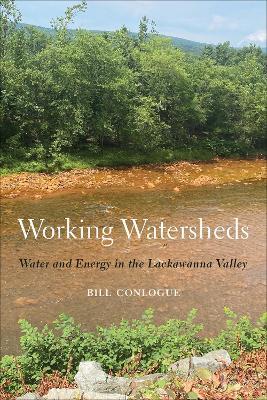 Working Watersheds: Water and Energy in the Lackawanna Valley - William Conlogue - cover