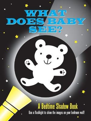 What Does Baby See? Bedtime Shadow Book - cover