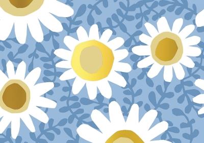 Daisies Note Cards (14 Cards, 15 Self-Sealing Envelopes) - cover