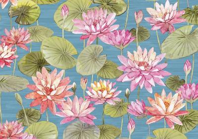Water Lilies Note Cards (14 Cards, 15 Self-Sealing Envelopes) - cover