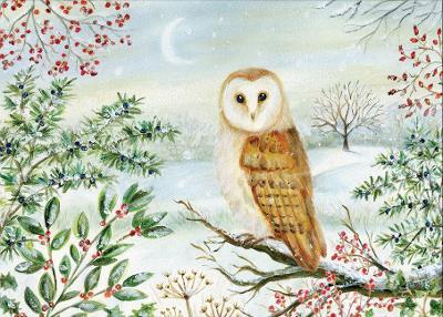 Barn Owl in Winter Deluxe Boxed Holiday Cards (20 Cards, 21 Self-Sealing Envelopes) - cover