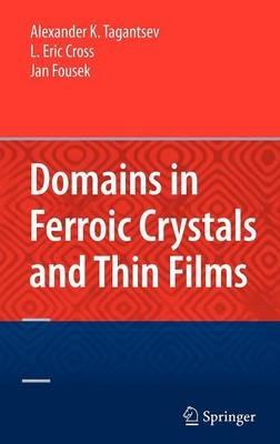 Domains in Ferroic Crystals and Thin Films - Alexander Tagantsev,L. Eric Cross,Jan Fousek - cover