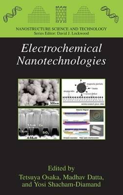 Electrochemical Nanotechnologies - cover