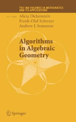 Algorithms in Algebraic Geometry - cover