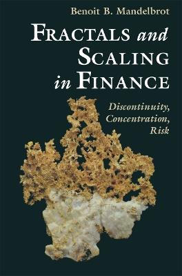 Fractals and Scaling in Finance: Discontinuity, Concentration, Risk. Selecta Volume E - Benoit B. Mandelbrot - cover